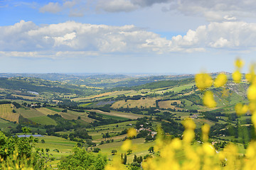 Image showing Typical landscape in Marche