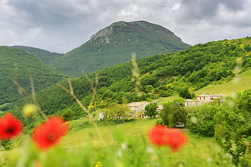 Image showing Typical landscape in Marche