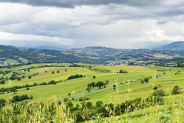 Image showing Typical landscape Marche