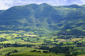 Image showing Typical landscape Marche