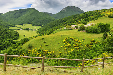 Image showing Typical landscape in Marche