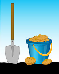 Image showing Pail of the potatoes and shovel