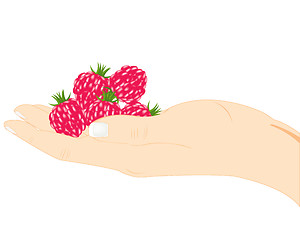 Image showing Raspberry on palm