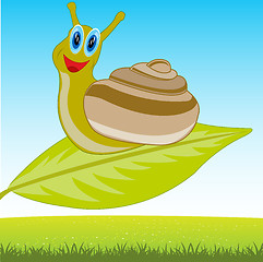 Image showing Snail on sheet