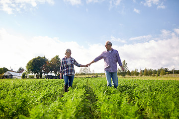 Image showing happy senior couple holding hands at summer farm