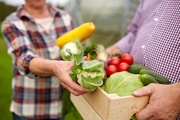 Image showing senior couple with box of vegetables on farm