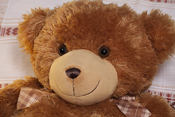 Image showing  Kind teddy bear plush friend, cute toy