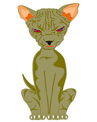 Image showing Cat of the sort sphinx
