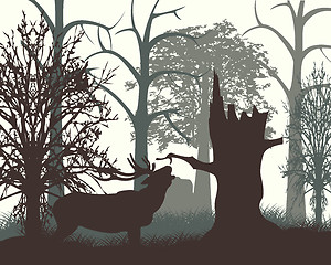 Image showing Deer in wood in the morning