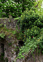 Image showing Obsolete Stone Wall