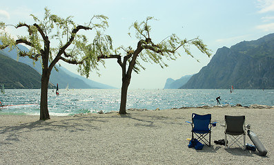 Image showing Chairs, trees, and surfers