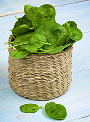 Image showing Raw Spinach Leafs