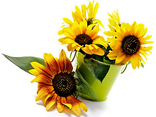 Image showing Bunch of Sunflowers