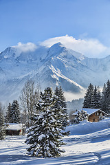 Image showing Winter Landscape