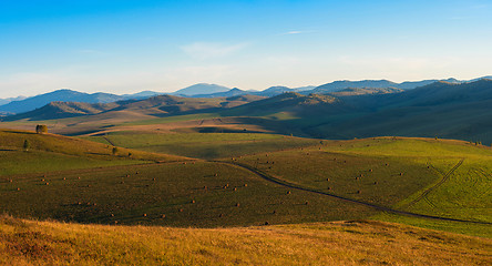 Image showing Beauty summer evening in the mountains