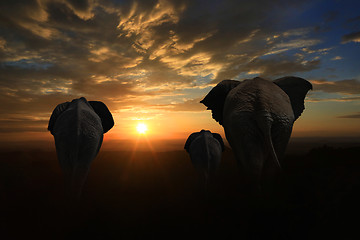 Image showing Family of 3 Elephants Walking Into the Sunset