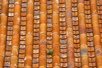 Image showing Classical Chinese tile on the roof