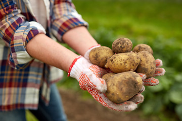 Image showing farmer hands holding potatoes at farm