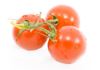 Image showing Tomatos