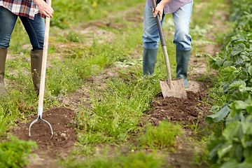 Image showing senior couple with shovels at garden or farm