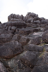 Image showing Coastline at Curieuse island, Seychelles