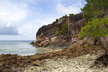 Image showing Tropical coastline at Curieuse island, Seychelles