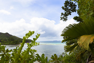 Image showing Tropical beach view at Curieuse island, Seychelles