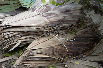 Image showing Dried palm tree leaves at wayside