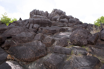 Image showing Coastline at Curieuse island, Seychelles