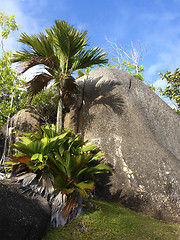 Image showing Tropical landscape, Seychelles