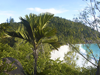 Image showing Tropical panorama view, Praslin island, Seychelles