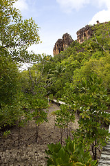 Image showing Nature landscape at Curieuse island, Seychelles