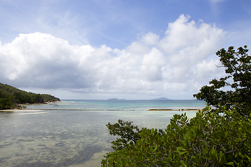 Image showing Tropical coastline at Curieuse island, Seychelles