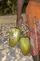 Image showing Man carries coconuts