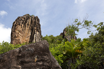 Image showing Tropical coastline at Curieuse island, Seychelles