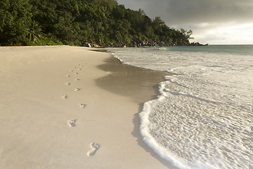 Image showing Footprints at the beach