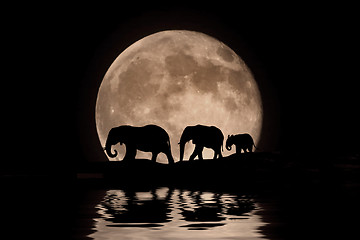 Image showing Family of Elephants in the Moonlight Silhouette