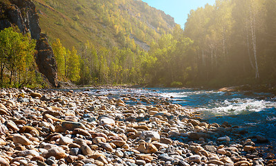 Image showing Fast mountain river in Altay