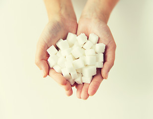 Image showing close up of white lump sugar in woman hands