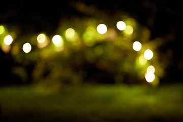 Image showing garland lights at night summer garden background