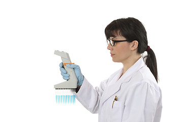 Image showing Scientist with multichannel pipettor