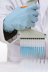 Image showing Scientist holding 850ul multichannel pipettor
