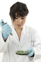 Image showing Toxicology investigation
