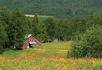 Image showing Old barn and summer pasture