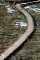 Image showing Wooden pathway in Plitvice Lakes national park in Croatia