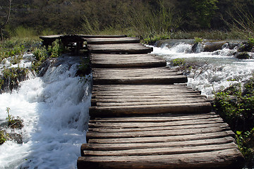 Image showing Wooden pathway in Plitvice Lakes national park in Croatia