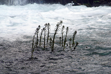 Image showing Plitvice Lakes national park in Croatia