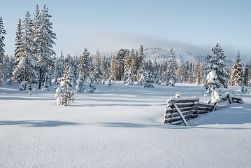 Image showing Country on sunny day