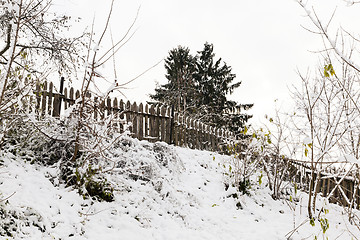 Image showing trees in the snow