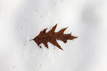 Image showing snow drifts, close-up